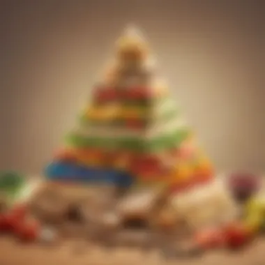 Components of a Balanced Diet Balanced diet food pyramid