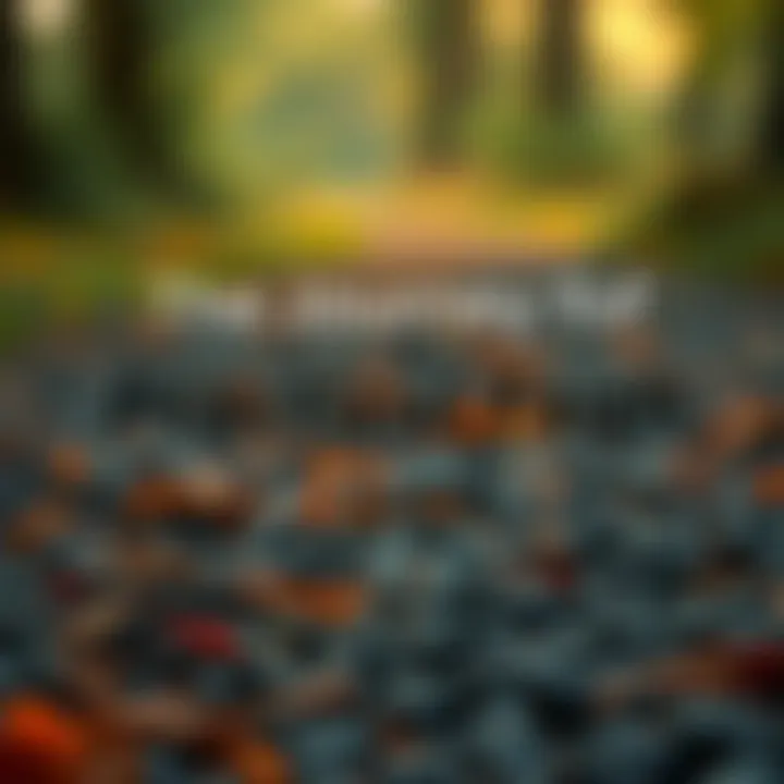 The Journey of Practical Faith in James Visual exploration of practical faith