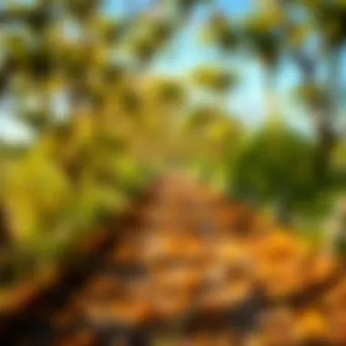 Pathway to Personal Growth through Literature A pathway representing personal growth through literature