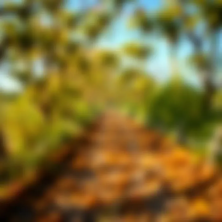 Pathway to Personal Growth through Literature A pathway representing personal growth through literature