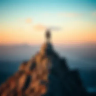 An individual standing atop a mountain, symbolizing achievement