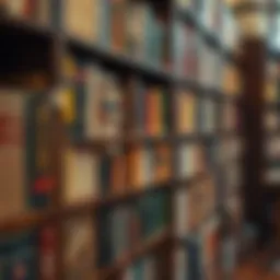 A vibrant library shelf filled with classic literature