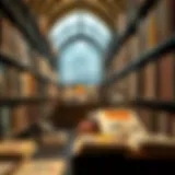 Diverse Literary Resources A digital library showcasing various book covers