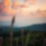 Tranquility and Happiness A serene landscape symbolizing tranquility and happiness