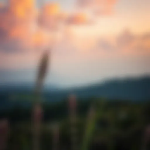 Tranquility and Happiness A serene landscape symbolizing tranquility and happiness