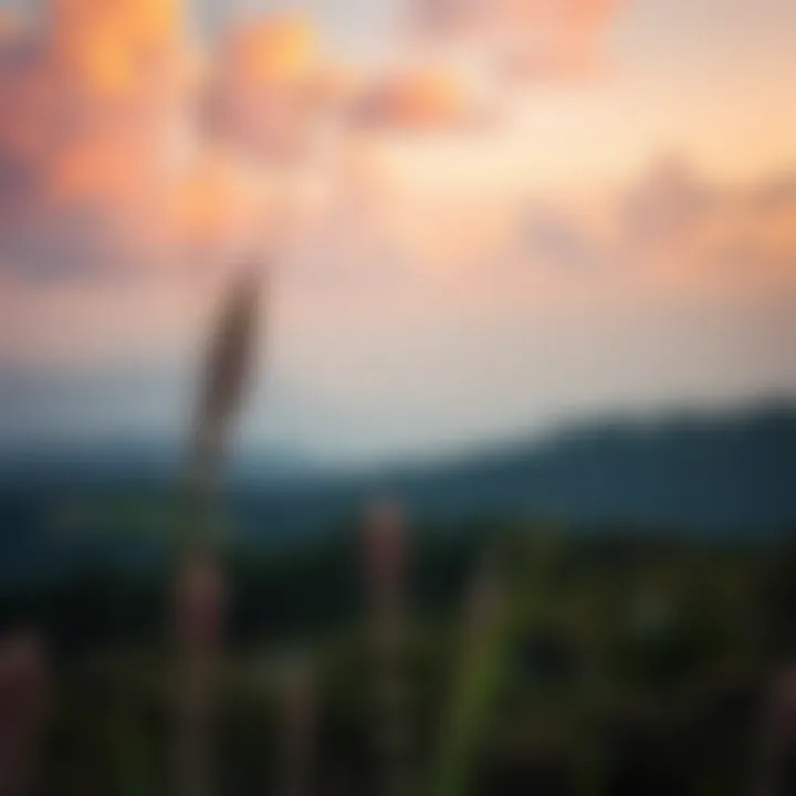 Tranquility and Happiness A serene landscape symbolizing tranquility and happiness