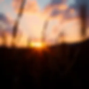 Sunrise of New Beginnings A sunrise representing new beginnings and motivation