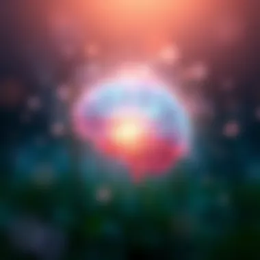 A peaceful mind illustrated through soft colors and light