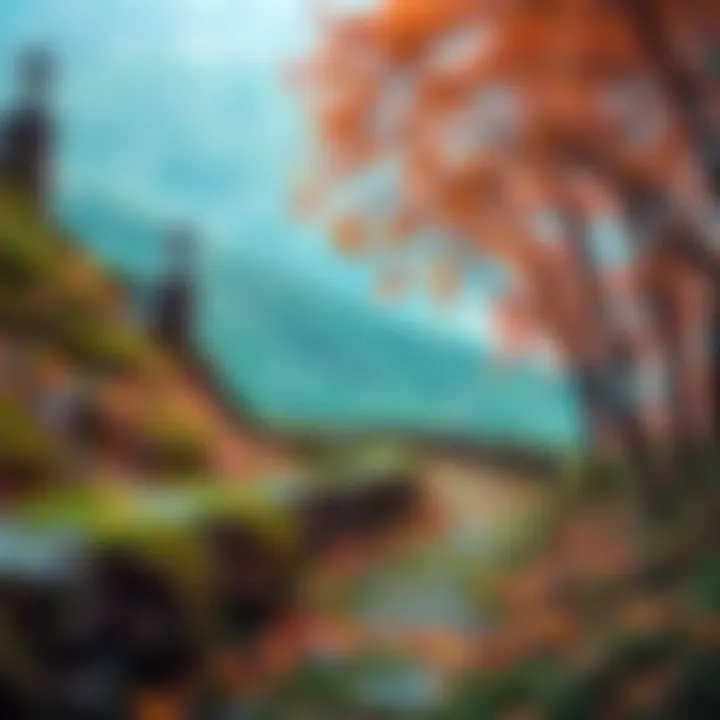 Journey of Aspirations A winding path representing the journey of aspirations