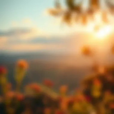 Nature's Inspiration A serene landscape illustrating the concept of inspiration