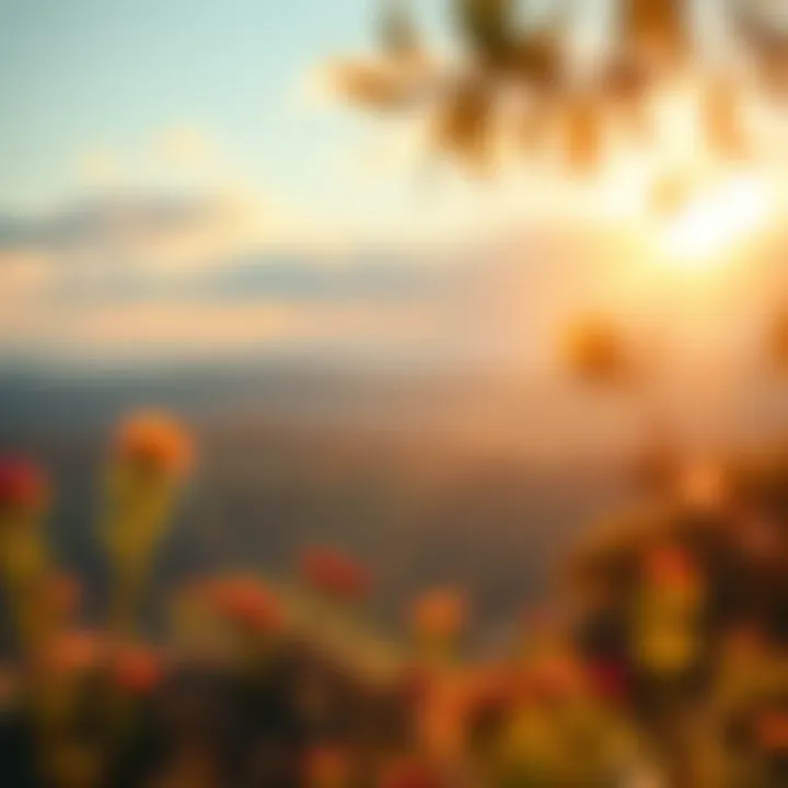 Nature's Inspiration A serene landscape illustrating the concept of inspiration