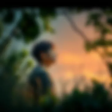 A person contemplating in nature, illustrating the journey of personal growth