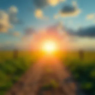 A visual representation of a pathway leading to a bright horizon, symbolizing a journey towards improvement