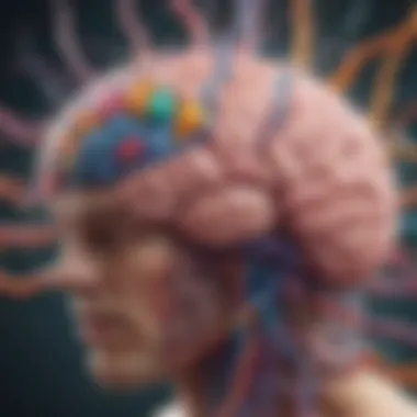 Visual representation of brain-gut connection