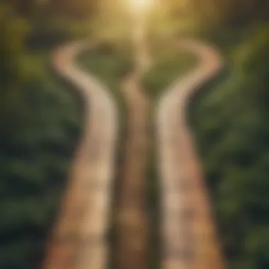 Diverging Paths of Transition A path diverging to show choices in life's transitions