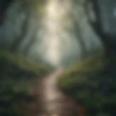Journey of Enlightenment A pathway leading into a misty forest symbolizing personal growth.