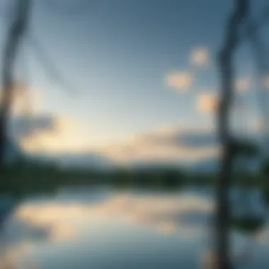 Nature's Reflection on Personal Growth A serene landscape symbolizing reflection and growth