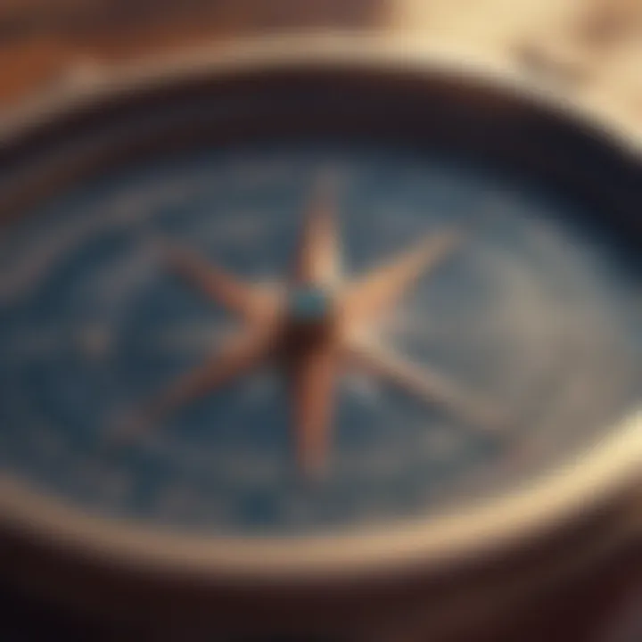 Illustration of a compass pointing north, symbolizing direction and purpose.