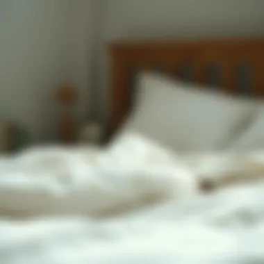 Resilience Through Simplicity Visual metaphor for resilience and purpose through simplicity