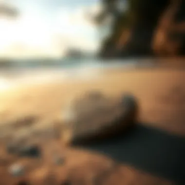 A heart-shaped stone on the beach symbolizing love