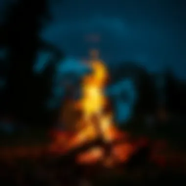 The Essence of a Campfire A vibrant campfire illuminating the night sky
