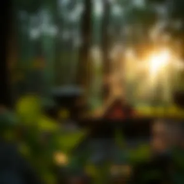 Nature's Hearth A serene forest setting with a fire pit