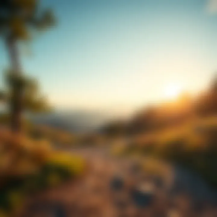 A serene landscape with a winding path leading towards the horizon, representing the journey of self-discovery