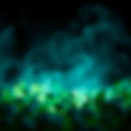 Conceptual representation of holistic health strategies