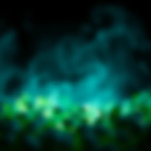 Holistic Health Strategies Conceptual representation of holistic health strategies