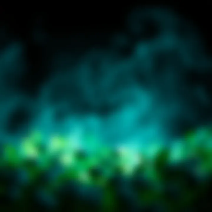 Holistic Health Strategies Conceptual representation of holistic health strategies