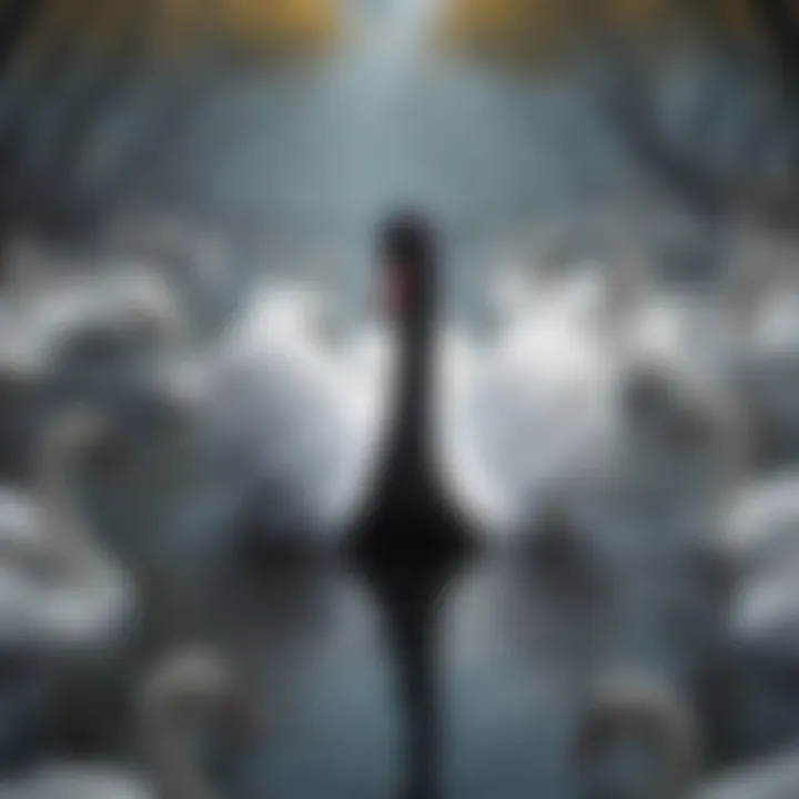 Illustration of a black swan among white swans symbolizing rare events