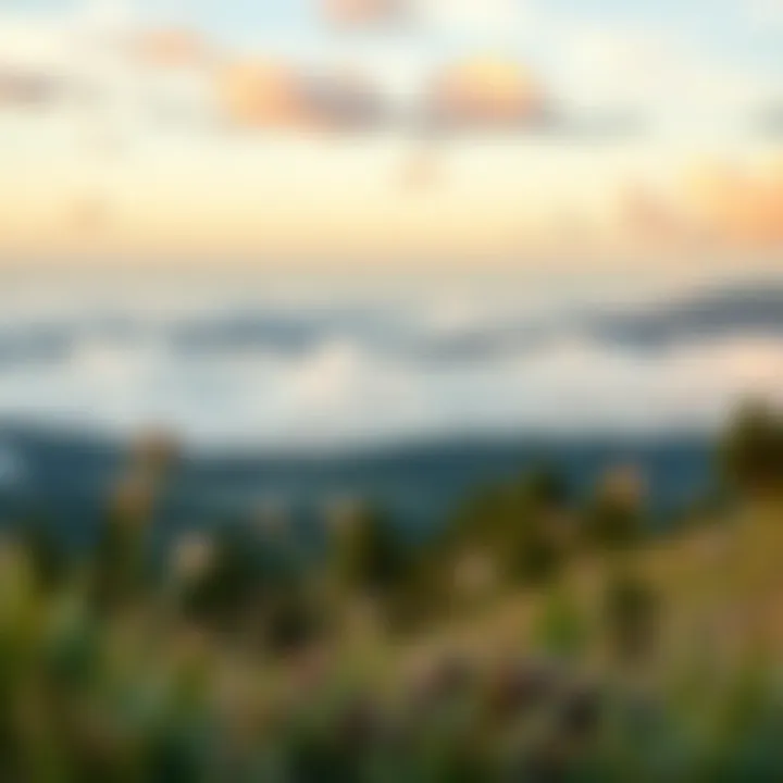 Serene Landscape of Financial Independence A serene landscape symbolizing financial independence