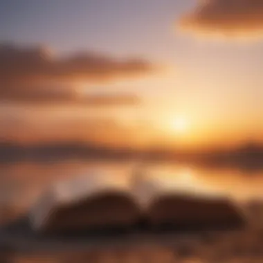 Sunrise Symbolizing New Beginnings A serene sunrise symbolizing new beginnings